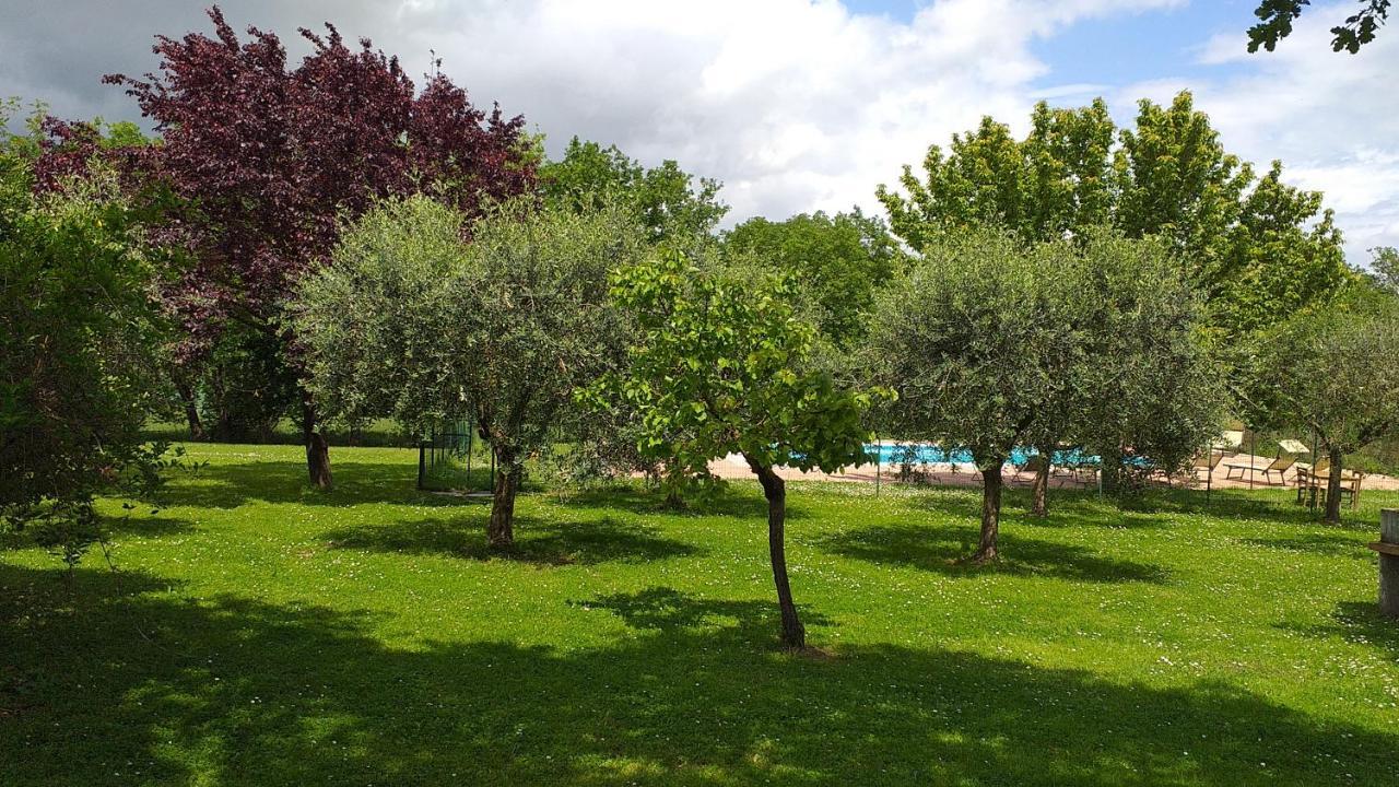 La Vecchia Fornace Guest House Cortona Luaran gambar